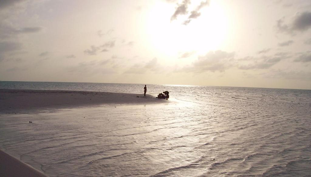 Paradise Bay Bahamas Bed & Breakfast